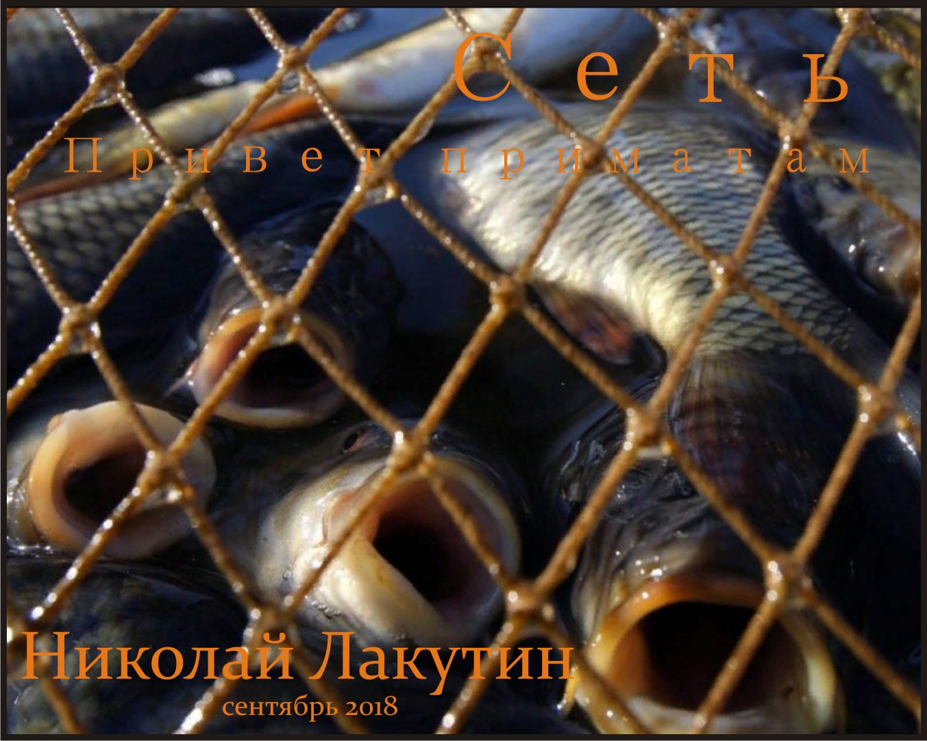 Сеть обложка